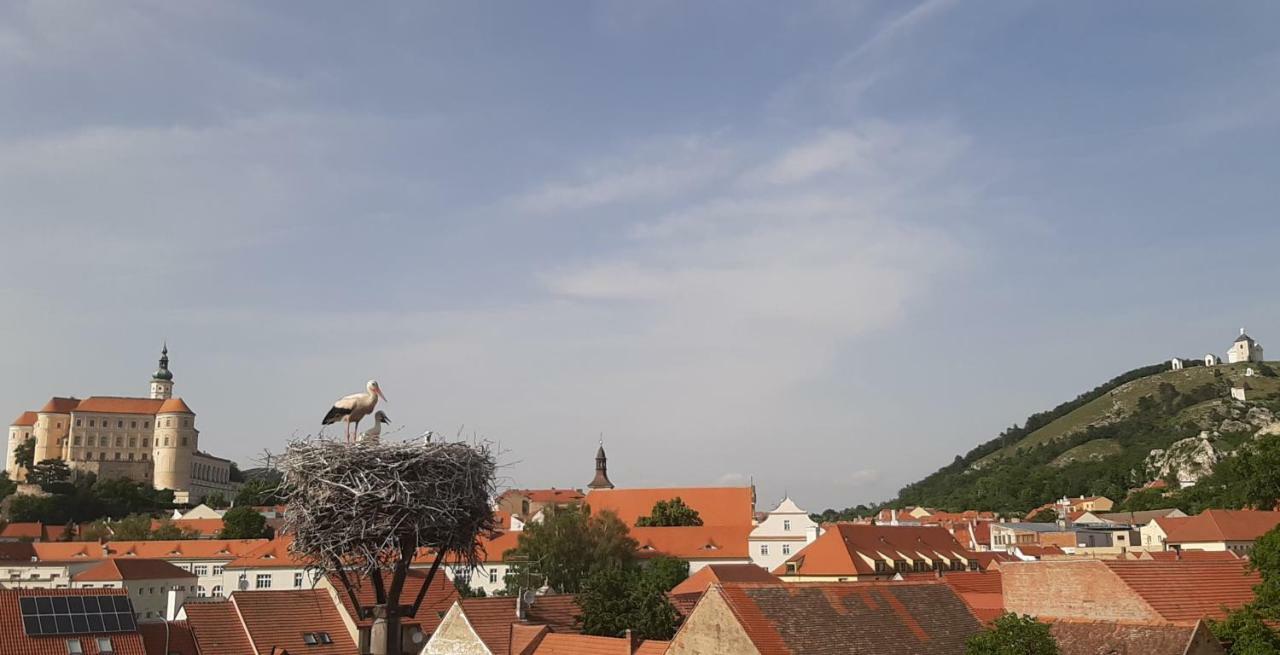 Penzion Cap Mikulov Zewnętrze zdjęcie