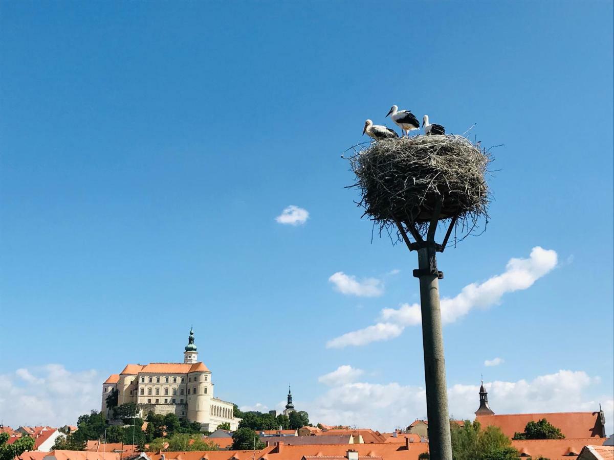 Penzion Cap Mikulov Zewnętrze zdjęcie